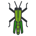 grasshopper Filled Outline Icon
