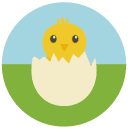 hatchling chick Flat Round Icon