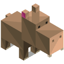hippo Isometric Icon