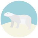 ice bear Flat Round Icon