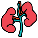 kidneys Doodle Icon