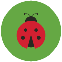 ladybug Flat Round Icon