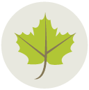 leaf Flat Round Icon