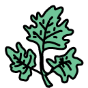 lettuce Doodle Icons