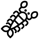 lobster line Icon