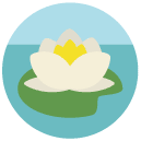 lotus Flat Round Icon