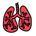 lungs Doodle Icon