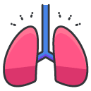 lungs Filled Outline Icon