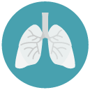 lungs Flat Round Icon