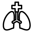 lungs line Icon