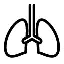 lungs line Icon copy