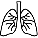 lungs line Icon