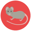 mouse Flat Round Icon
