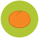 nectarine Flat Round Icon