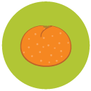 nectarine Flat Round Icon