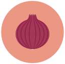 onion Flat Round Icon