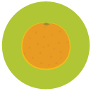 orange Flat Round Icon