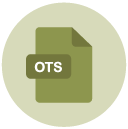 ots Flat Round Icon