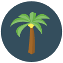 palm tree Flat Round Icon