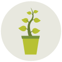 plant Flat Round Icon