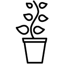 plant line Icon