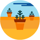 planting_1 flat Icon