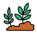 plants Doodle Icons