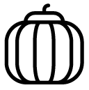 pumpkin line Icon