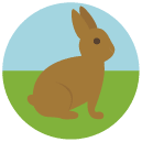 rabbit Flat Round Icon