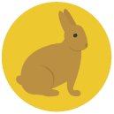 rabbit Flat Round Icon