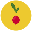radish Flat Round Icon