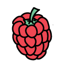 raspberry Doodle Icons