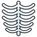 ribcage Filled Outline Icon