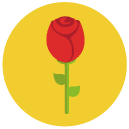 rose Flat Round Icon
