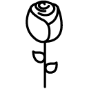 rose line Icon