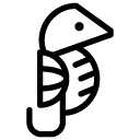 seahorse line Icon