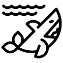 shark line Icon