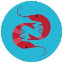 shrimps Flat Round Icon