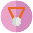 silver medal flat Icon