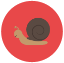 snail Flat Round Icon