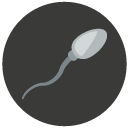 sperm Flat Round Icon