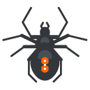 spider Filled Outline Icon