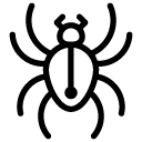 spider line Icon