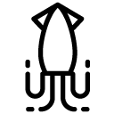 squid line Icon