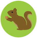squirrel Flat Round Icon
