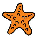 starfish Doodle Icon