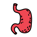 stomach Doodle Icon