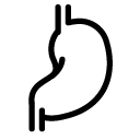 stomach line Icon copy