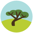tree Flat Round Icon