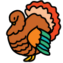 turkey Doodle Icon